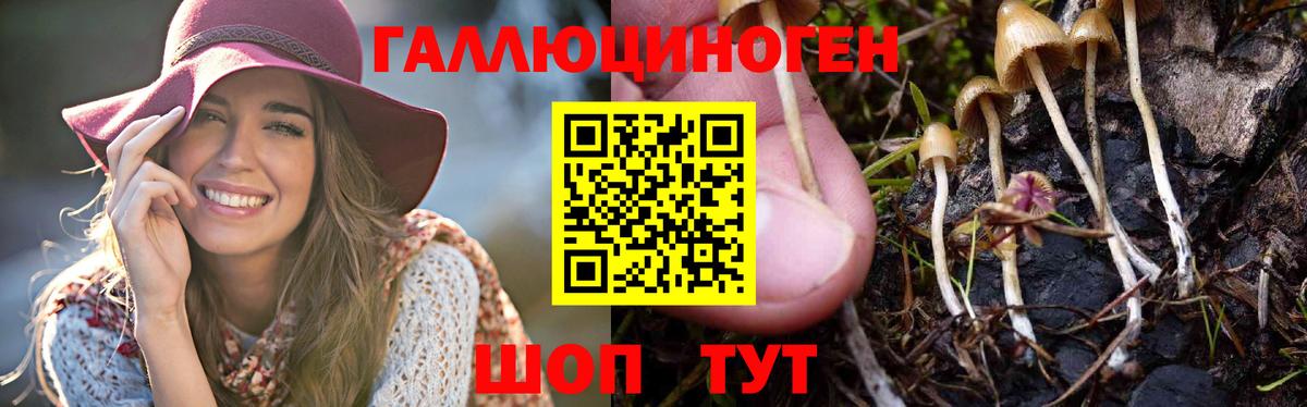 Галлюциногенные грибы мицелий  Вход с VPN  где можно купить   Оренбург 